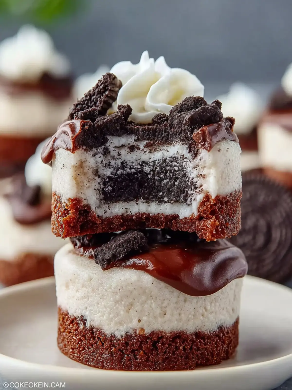 Healthy No-Bake Oreo Cheesecake Bites Recipe First Image